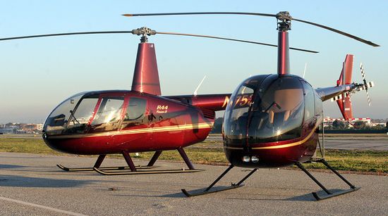 Robinson R22