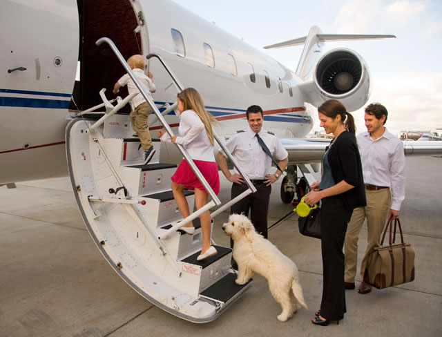 Charter Jet Animaux acceptés